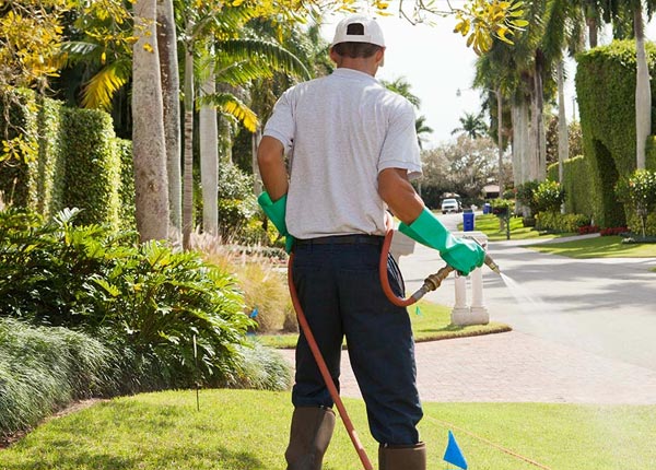 About Mazon IL Pest Control Pros